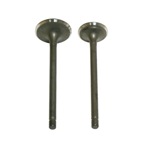 SOUPAPE MOTEUR CG125