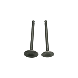 SOUPAPE GY6 125-B JW